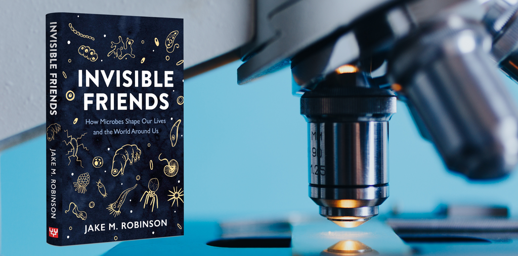 Invisible Friends - Sample Chapter