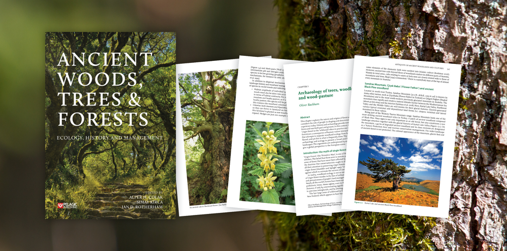 Ancient Woods, Trees and Forests - Editor Interview