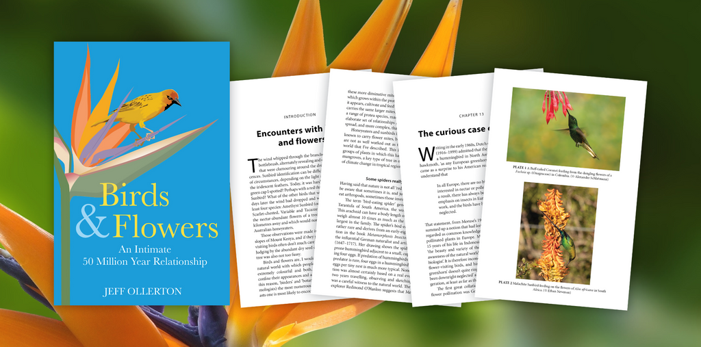 Birds and Flowers - Author Interview