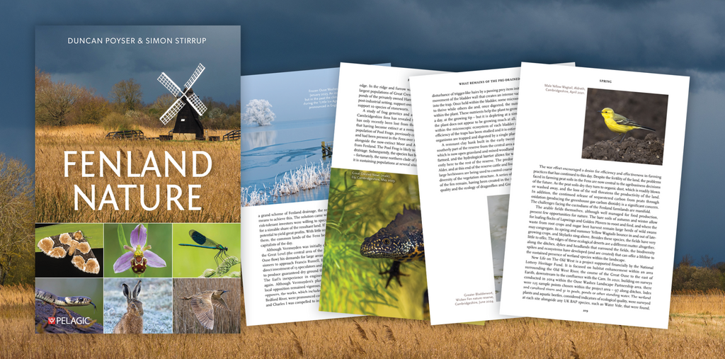 Fenland Nature - Sample Chapter