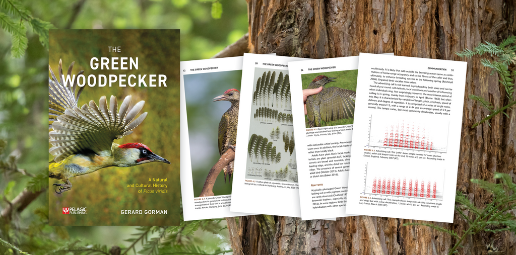 The Green Woodpecker - Author Interview