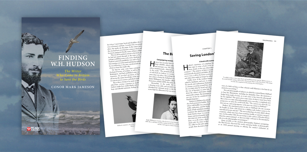 Finding W.H. Hudson - Sample Chapter