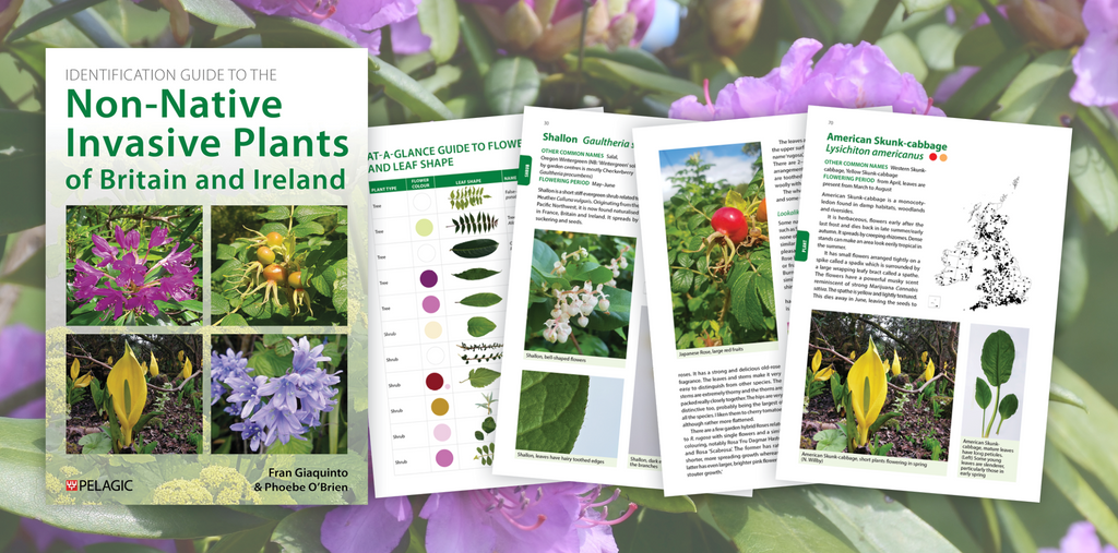 Identification Guide to the Non-Native Invasive Plants of Britain and Ireland - Author Interview