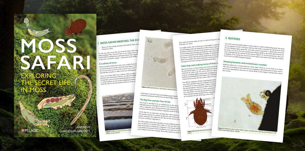 Moss Safari - Sample Chapter