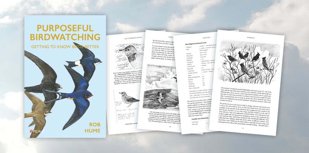 Purposeful Birdwatching - Sample Chapter