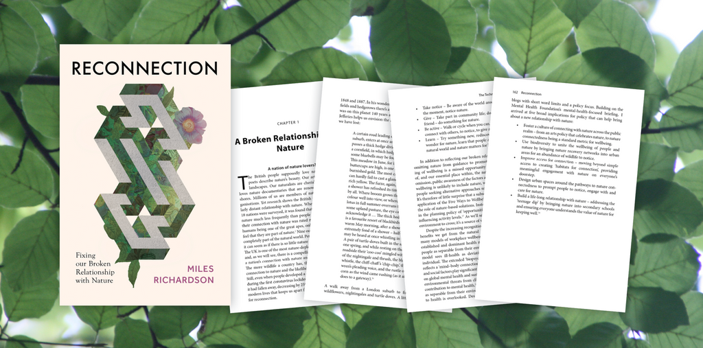 Reconnection - Author Interview