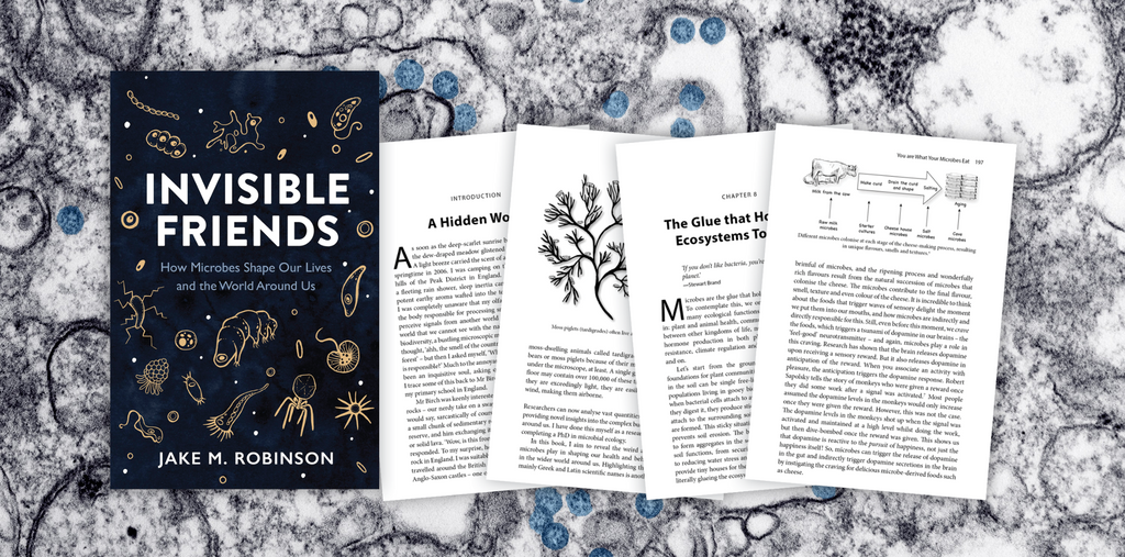 Invisible Friends - Author Interview