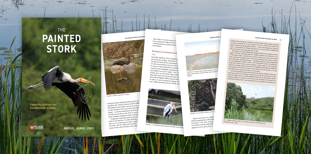 The Painted Stork - Author Interview