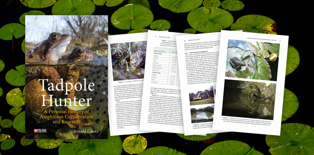 Tadpole Hunter - Author Interview
