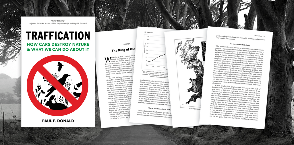 Traffication - Sample Chapter