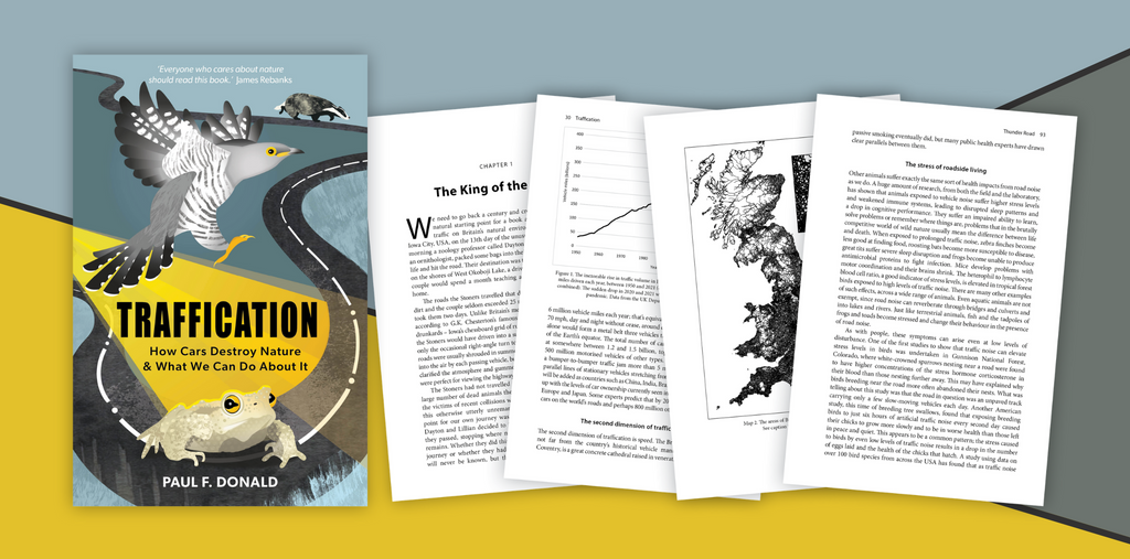 Traffication - Don't take our word for it 💬