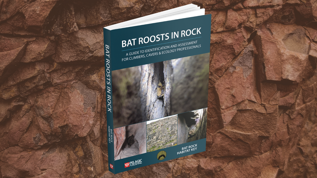 Bat Roosts in Rock: Author Blog