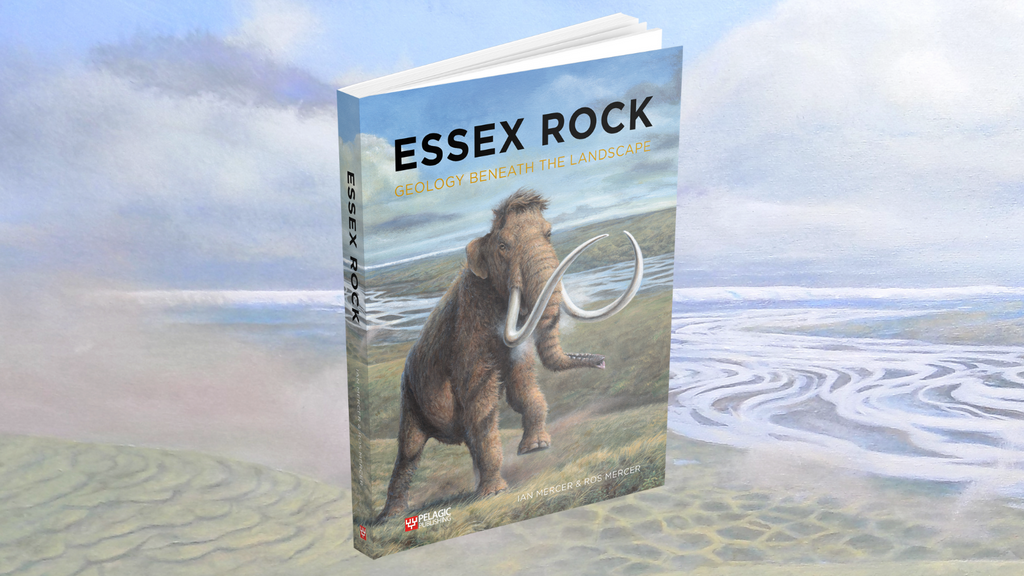 Essex Rock: Author Interview