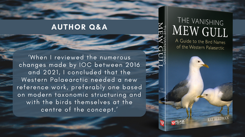 The Vanishing Mew Gull - Author Interview