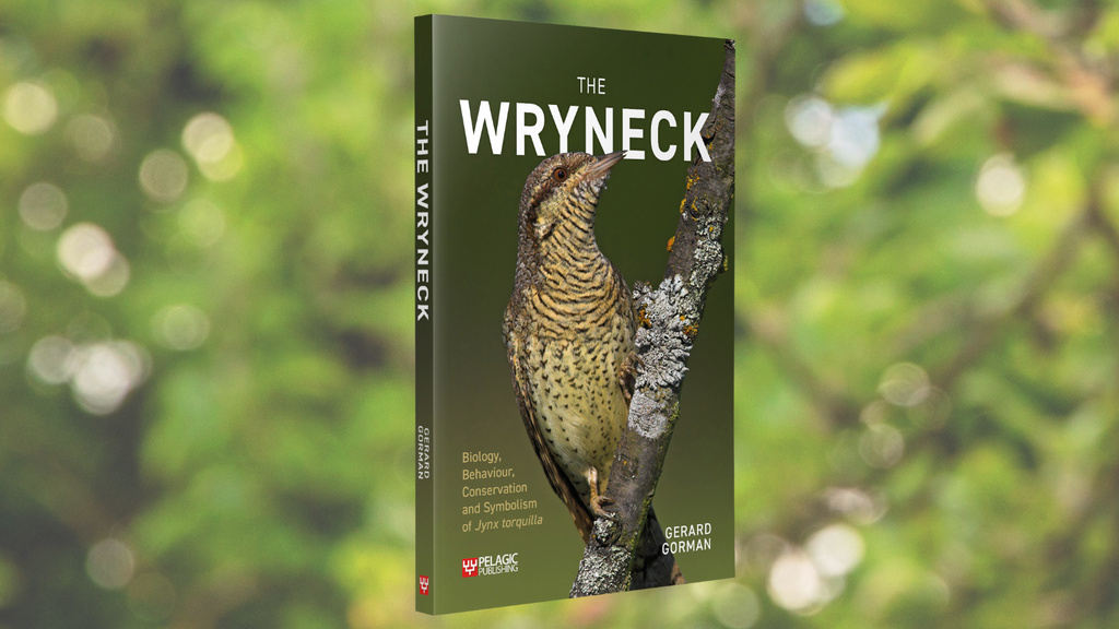 The Wryneck: Author Interview