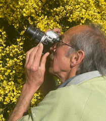collection image