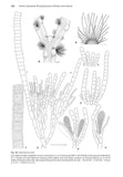 Brown Seaweeds (Phaeophyceae) of Britain and Ireland - Pelagic Publishing