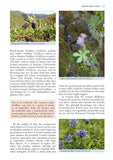 A Wildlife Guide to Georgia - Pelagic Publishing