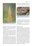 A Wildlife Guide to Georgia - Pelagic Publishing