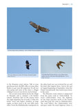 A Wildlife Guide to Georgia - Pelagic Publishing
