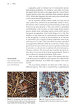 Ants - Pelagic Publishing