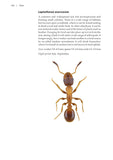 Ants - Pelagic Publishing