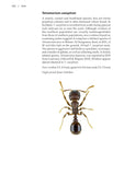 Ants - Pelagic Publishing