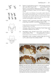 Ants - Pelagic Publishing