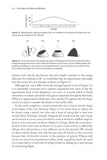 The Physics of Birds and Birding - Pelagic Publishing