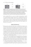 The Physics of Birds and Birding - Pelagic Publishing