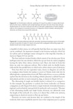 The Physics of Birds and Birding - Pelagic Publishing