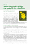 Frustrating Flowers and Puzzling Plants - Pelagic Publishing
