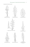 Frustrating Flowers and Puzzling Plants - Pelagic Publishing