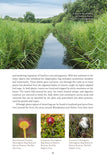 Fenland Nature - Pelagic Publishing