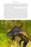 Fenland Nature - Pelagic Publishing