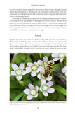 Fenland Nature - Pelagic Publishing
