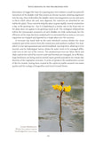 Fenland Nature - Pelagic Publishing