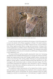 Fenland Nature - Pelagic Publishing