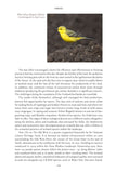 Fenland Nature - Pelagic Publishing