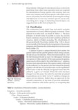 Animals under logs and stones - Pelagic Publishing