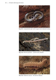 Animals under logs and stones - Pelagic Publishing