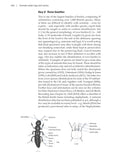 Animals under logs and stones - Pelagic Publishing