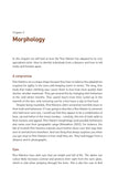 Pine Marten - Pelagic Publishing