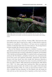 Pine Marten - Pelagic Publishing