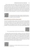 Pine Marten - Pelagic Publishing