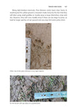 Pine Marten - Pelagic Publishing