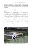 The Painted Stork - Pelagic Publishing