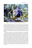 Tadpole Hunter - Pelagic Publishing