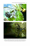 Tadpole Hunter - Pelagic Publishing