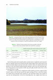 Tadpole Hunter - Pelagic Publishing